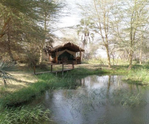 Kisima-Ngeda-Tented-Camp-3