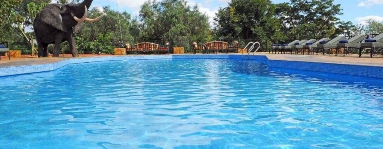 Kudu-Lodge-Campsite-3