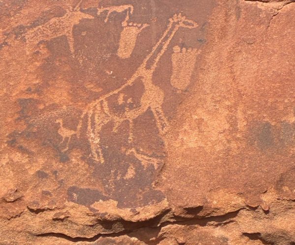 L ESSENTIEL DE LA NAMIBIE (3)