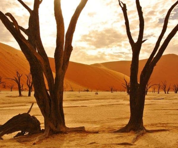 L-ESSENTIEL-DE-LA-NAMIBIE-4