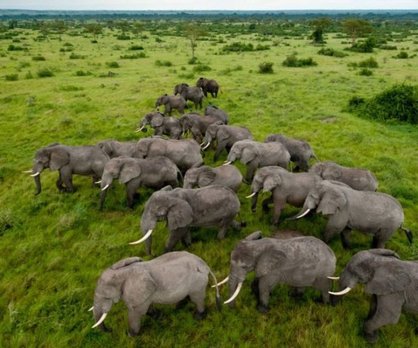 L-OUGANDA-AUTREMENT-4-qqo039uik99sakqiwyofc0szco4986yxckejwq3a0s