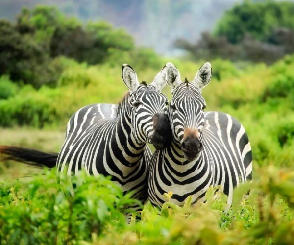 L-OUGANDA-AUTREMENT-5-qqo03ascr3b2m6p5rh31wikfy1zmfw2nop21e01vuk