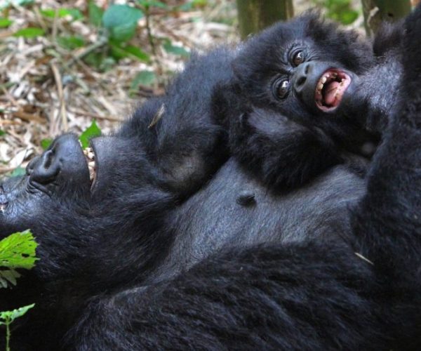 L-OUGANDA-AUTREMENT-8-scaled-qqo03dlvblexl0l2b0axlzutq7lq2zdup30httxpbw