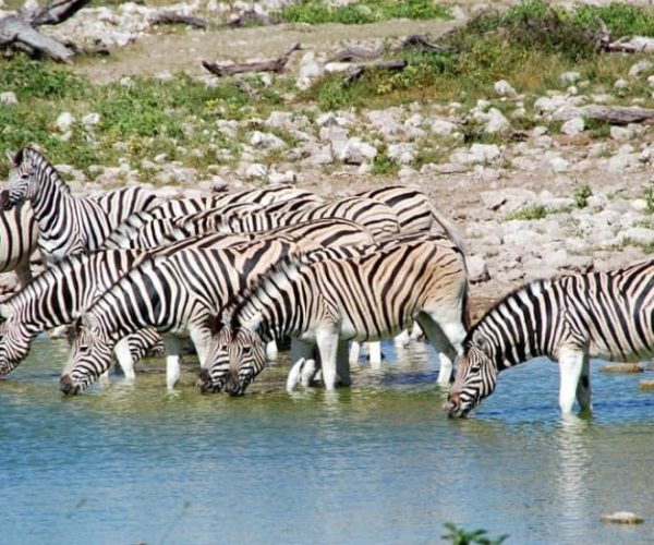 LA-NAMIBIE-EN-AUTOTOUR-1-qqo03gfdw3isjugyujitbh57id7tq2p1pgyy9ntit8