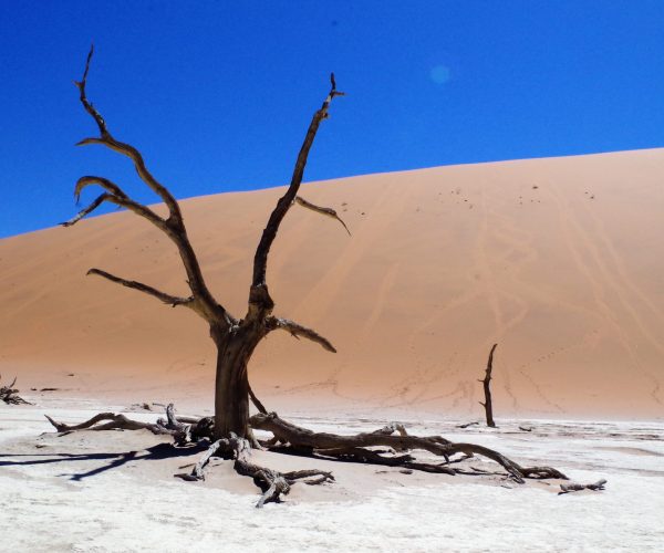 LA NAMIBIE EN AUTOTOUR (7)