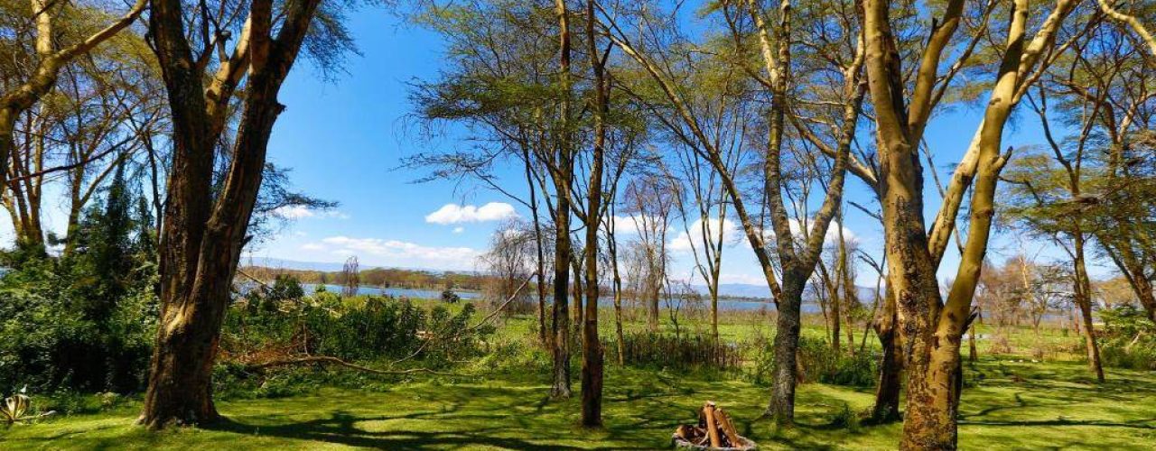 LAKE NAIVASHA COUNTRY CLUB (15)