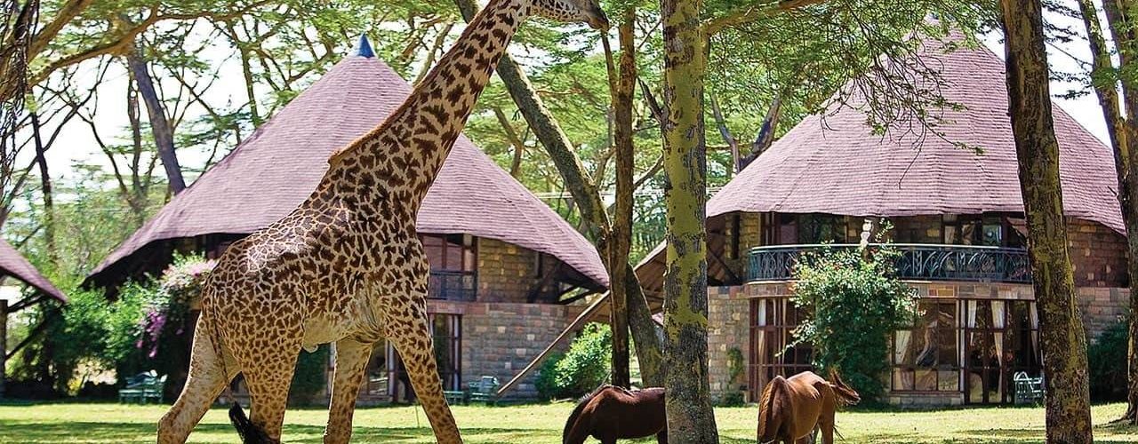 LAKE-NAIVASHA-SOPA-LODGE-3