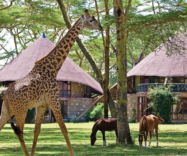 LAKE-NAIVASHA-SOPA-LODGE-3