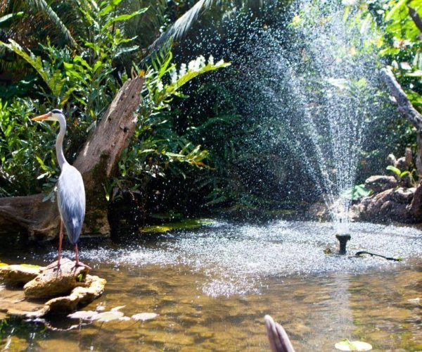 LEOPARD-BEACH-RESORT-SPA-4