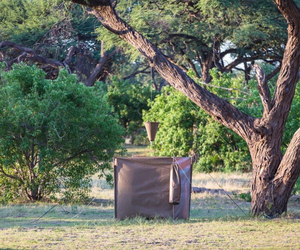 LION SAFARI (10)