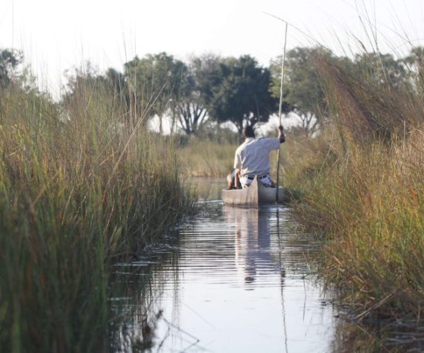 LION-SAFARI-10-scaled-qqo0mwp5bo5etc7s9g7vf2fm2fca0kx2pqzossz81o