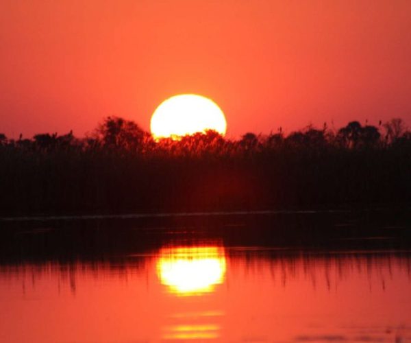 LION-SAFARI-11-qqo0mxmzii6p4y6f3ymhzk72nt7n8a0t1vn6a2xtvg