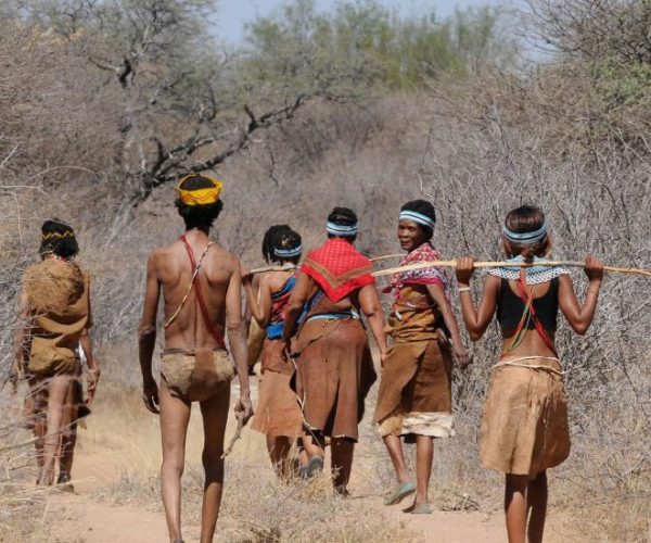 LION-SAFARI-13-qqo0mzinw699s63oszfr4jpzukydno89q4y58mv1j0