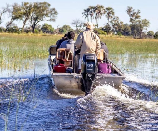 LION-SAFARI-8-qqo0mtvmr61juibvpwzzpl58a9q6dhlvpd18cz3ekc