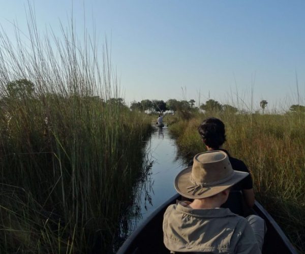 LION-SAFARI-9-scaled-qqo0mutgy02u64aikfema2wovnljl6pm1hopu920e4