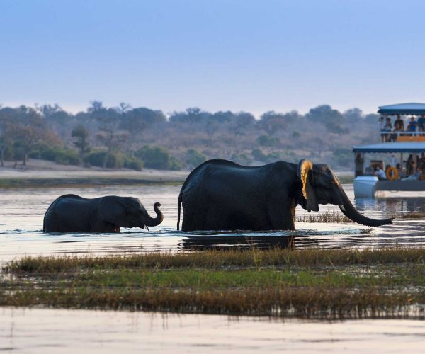 La Traversée Sauvage du Botswana De Moremi aux Chutes Victoria en 4x4 - Autotour (14)