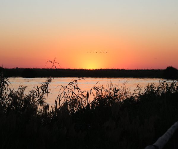 La Traversée Sauvage du Botswana De Moremi aux Chutes Victoria en 4x4 - Autotour (7)