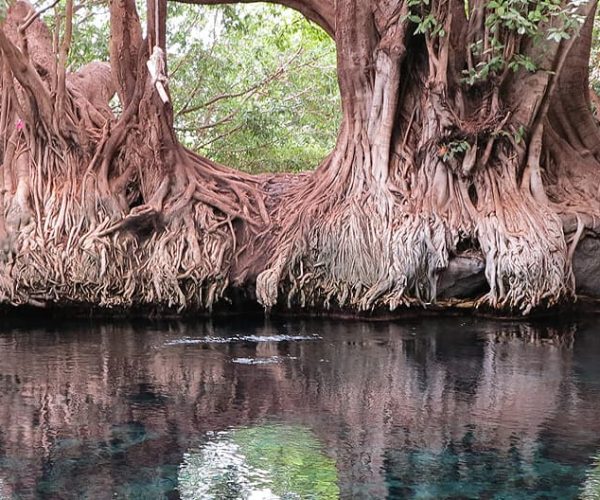 Les-sources-deau-chaudes-de-Rundugai-1-1