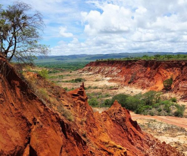 MADAGASCAR-GROUPE-10-qqo03z85os8j01pnsrncpcefe2n600rog20nv71ncs