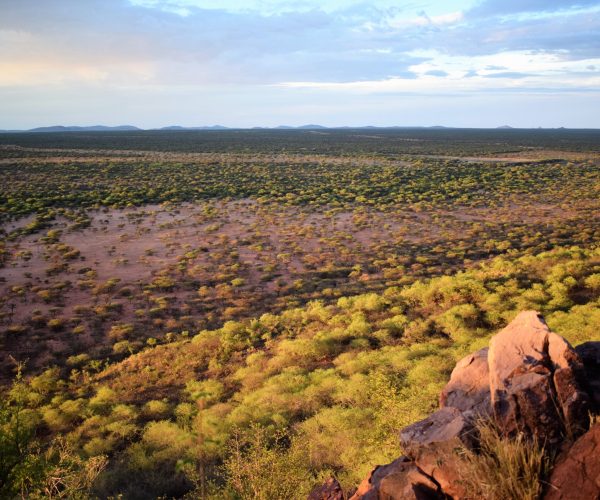 MAGIE NAMIBIENNE (2)