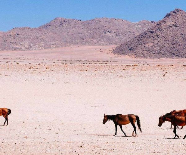 MAGIE-NAMIBIENNE-5-qqo04mq4fn4p2arizjt0xogy8pfccgcyvabsv42t18