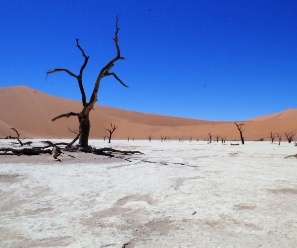 MAGIE NAMIBIENNE (5)