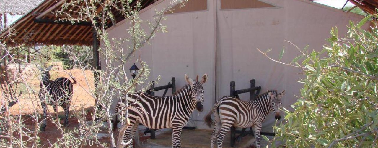 MAN EATERS CAMP (17)