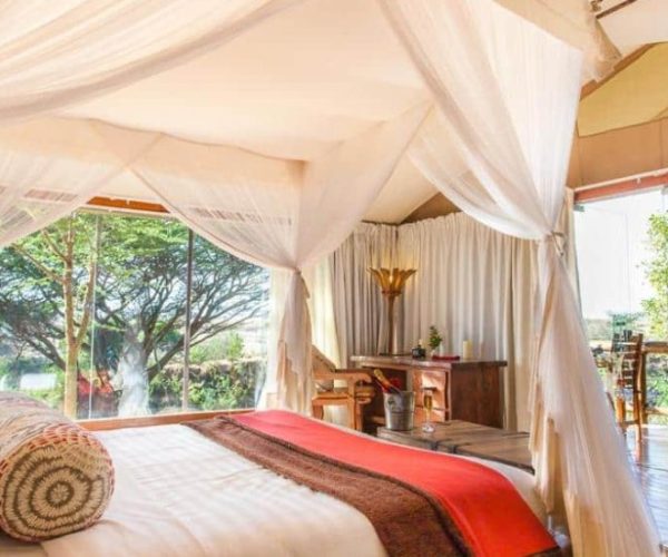 MARA-LEISURE-CAMP-9-qqo04tazrhdpbkhyx4nex4t6eeiwuc3386w781t1to