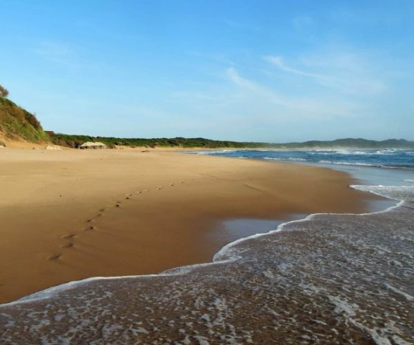 MERVEILLES-DU-SUD-LA-TRES-SPECIALE-RESERVE-DE-MAPUTO-11-scaled-1-qqo0ceu109s563gnjwvukpsb9j2q298z9sqhvkjhj0