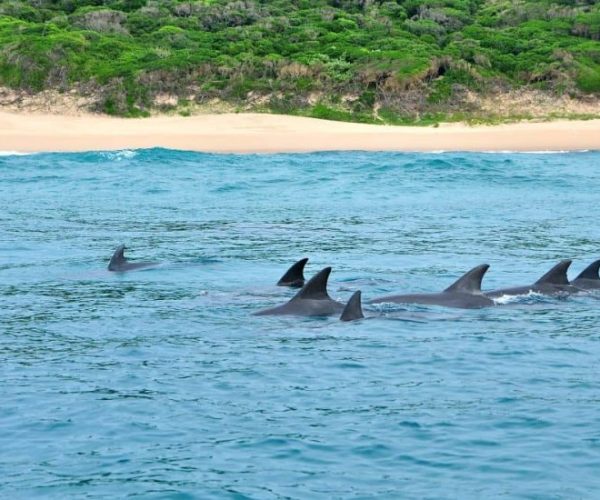 MERVEILLES-DU-SUD-LA-TRES-SPECIALE-RESERVE-DE-MAPUTO-9-qqo0cc0ifroa79kr0dnyv8hxhdgmf5xs9es1fqno1o