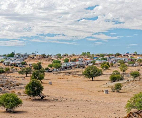 MORINGA-2-qqo058cestyahbw4hb5g110jwkgs9hqsm9bywh6r24