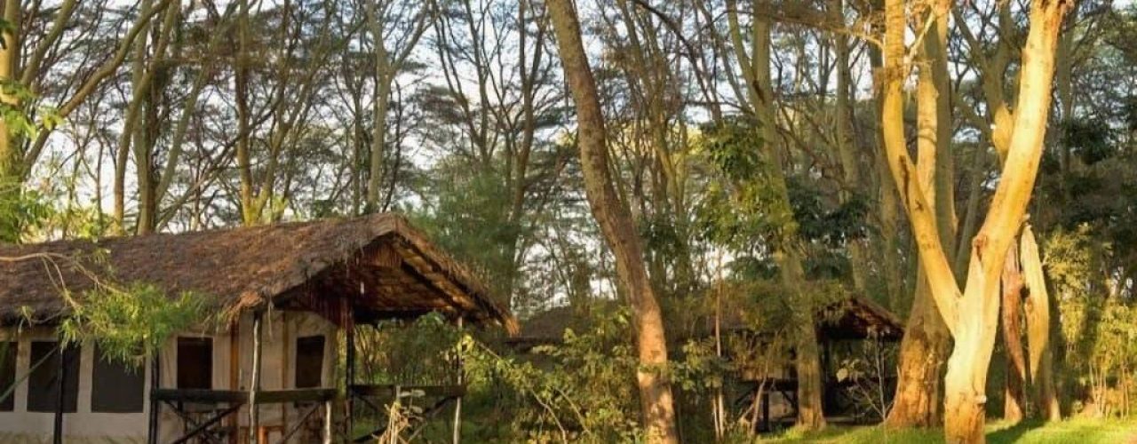 Migunga-Tented-Camp-12