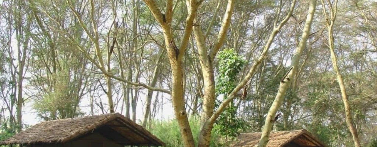 Migunga-Tented-Camp-4