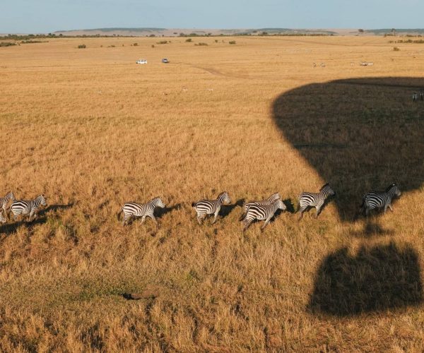 Montgolfiere-Masai-Mara-3