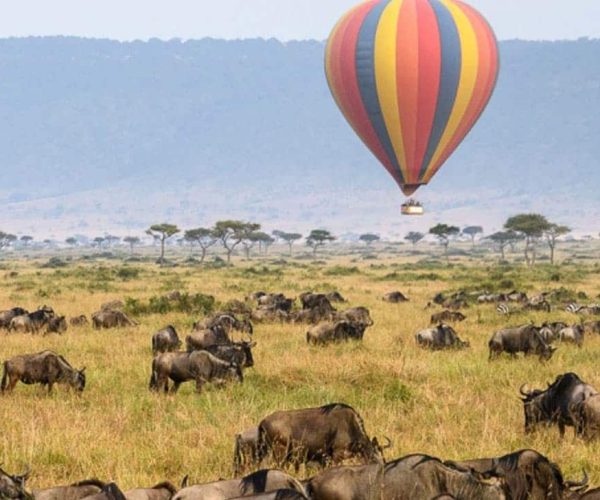 Montgolfiere-Masai-Mara-4