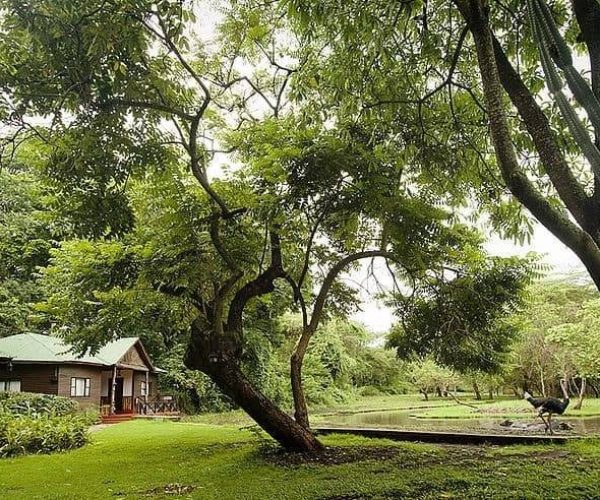 Mount-Meru-Game-Lodge-Sanctuary-1