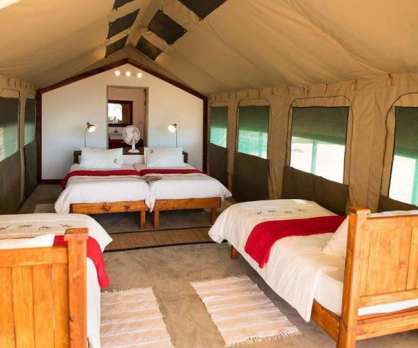 NAMIB-DESERT-LODGE-10