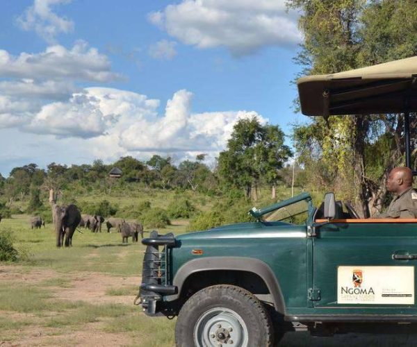 NGOMA-SAFARI-LODGE-11