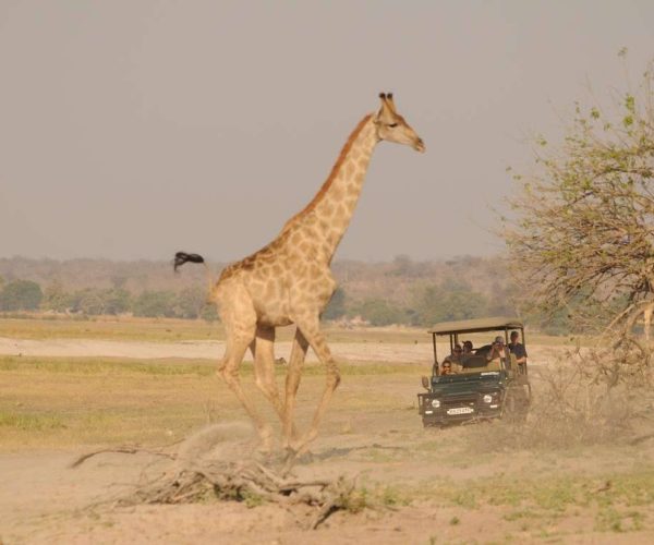 NGOMA-SAFARI-LODGE-2