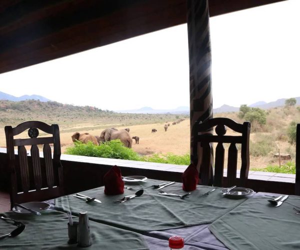 NGULIA-SAFARI-LODGE-1
