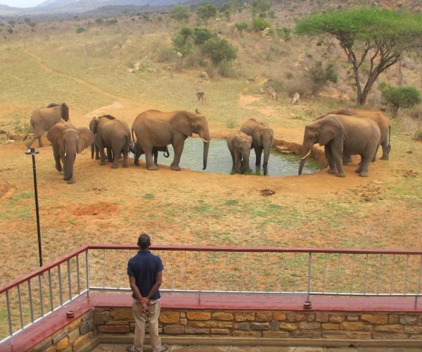 NGULIA-SAFARI-LODGE-2