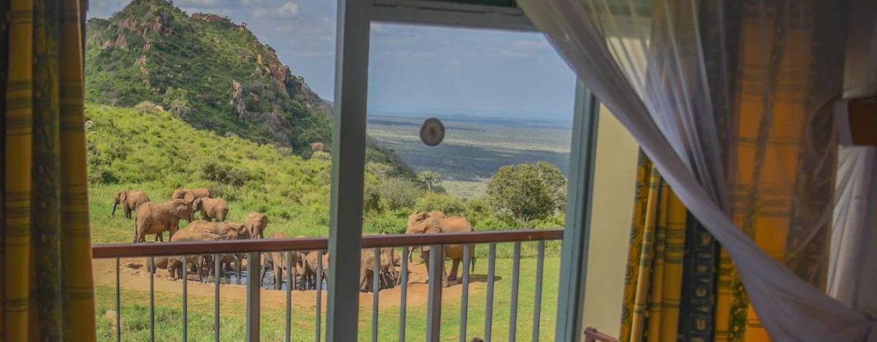 NGULIA SAFARI LODGE (9)