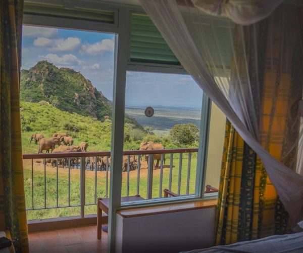 NGULIA-SAFARI-LODGE-9