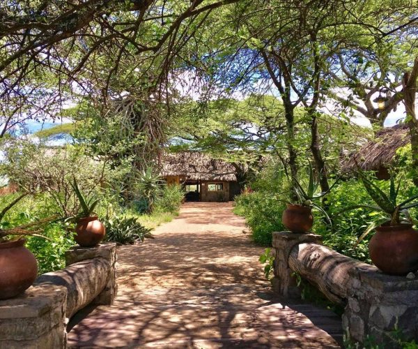 Ndutu-Safari-Lodge-1