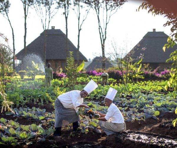 Ngorongoro-Neptune-Lodge-8