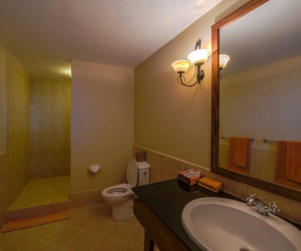 Ngorongoro-Sopa-Lodge-12