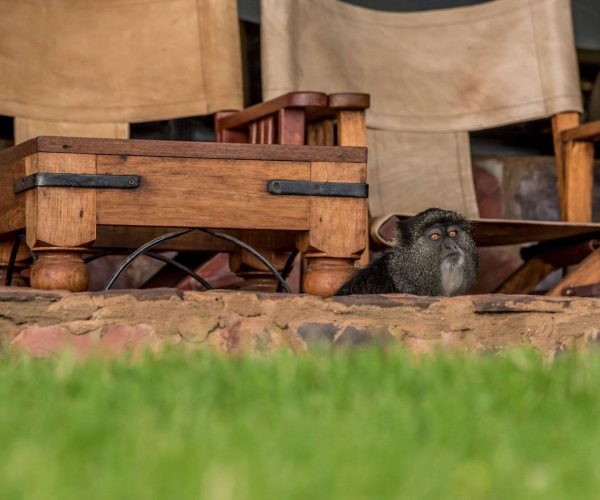 Ngorongoro-Sopa-Lodge-4