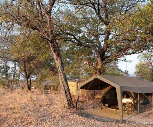 Nkonzi-Bush-Camp6