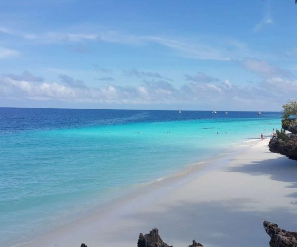 OUT-OF-AFRICA-15-qqo06sqq6w3htxm7bzj26ms7joqt3byou0h3p2v4os