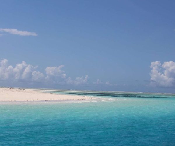 OUT-OF-AFRICA-16-qqo06tokdq4s5jku6hxor4jo52m6b12f654l6ctqik